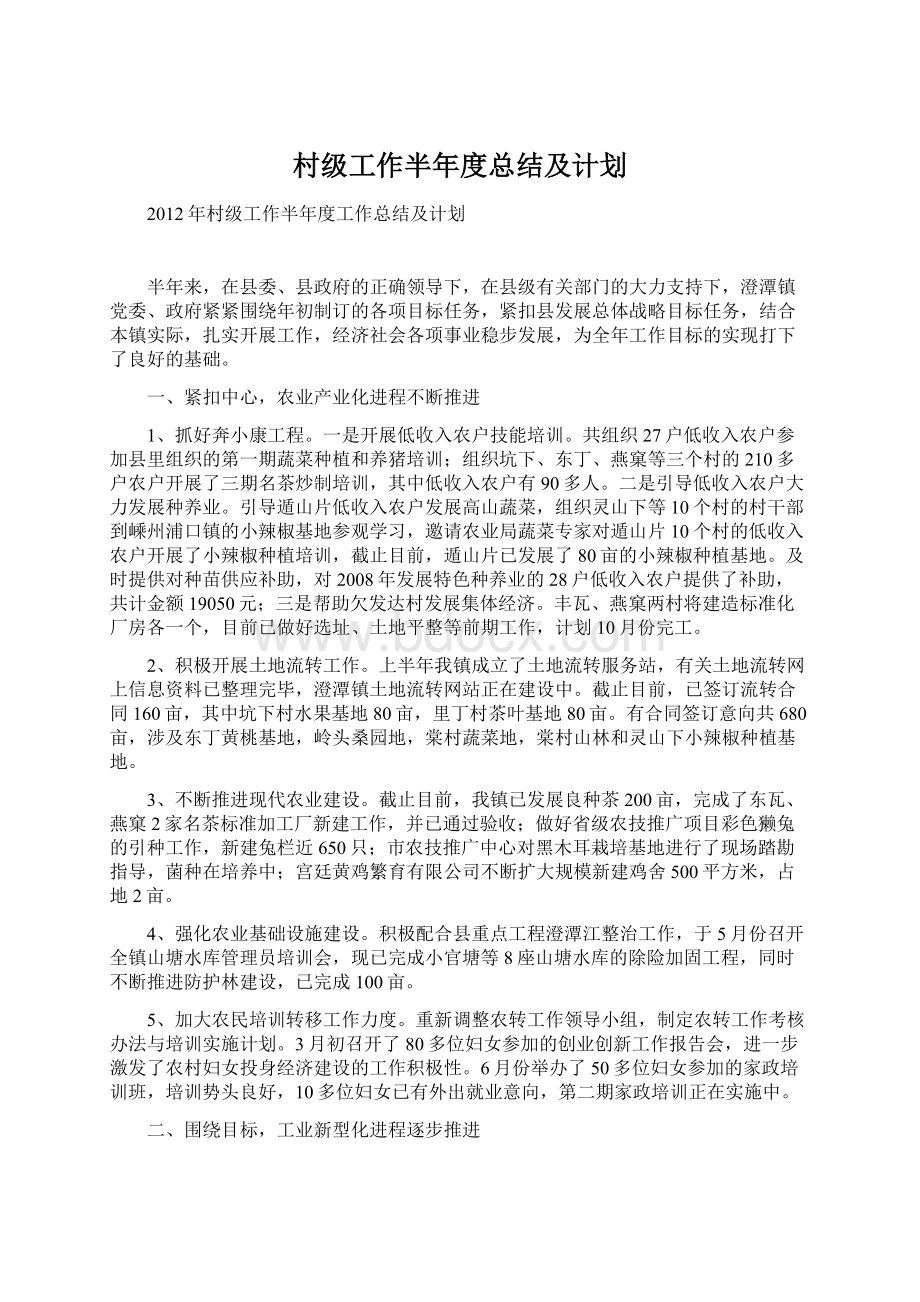 村级工作半年度总结及计划.docx