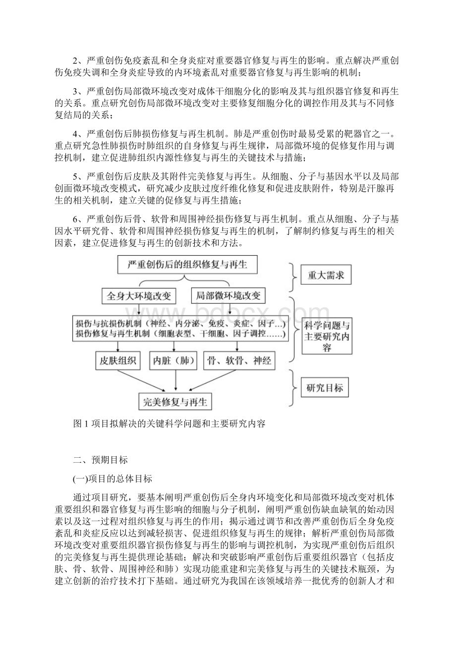 课题申请书973严重创作重要组织器官修复再生的细胞与分子机制.docx_第2页