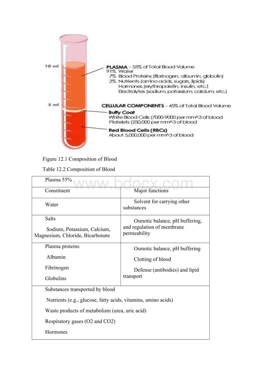 chpater12 Blood and Lymphatic and Immune System.docx_第3页