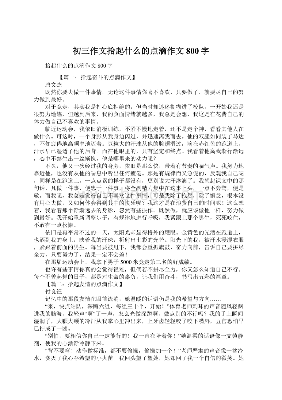 初三作文拾起什么的点滴作文800字.docx