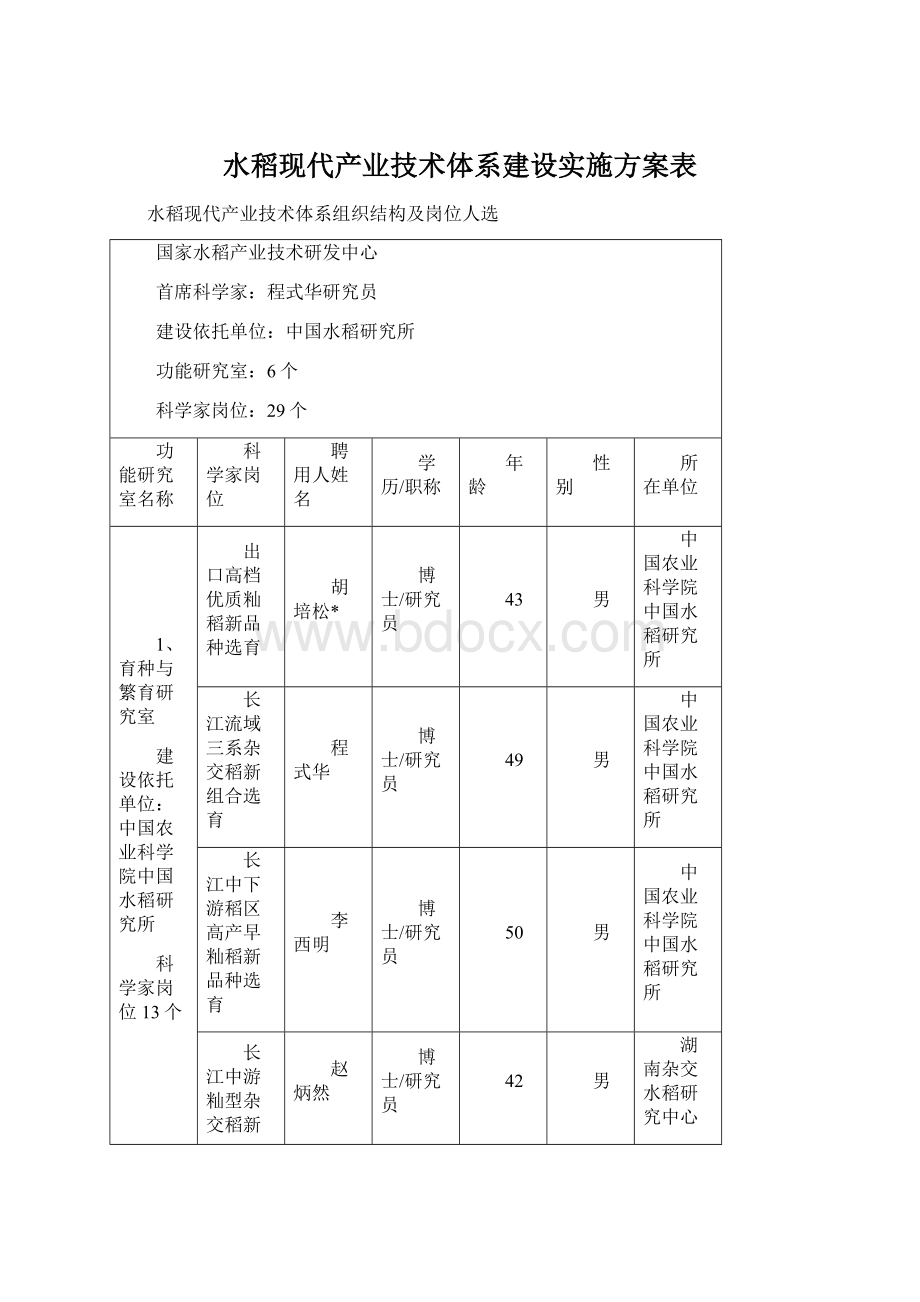 水稻现代产业技术体系建设实施方案表.docx