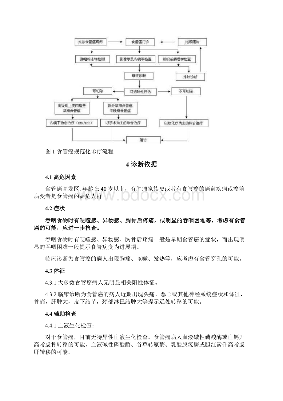 食管癌诊治指南.docx_第2页