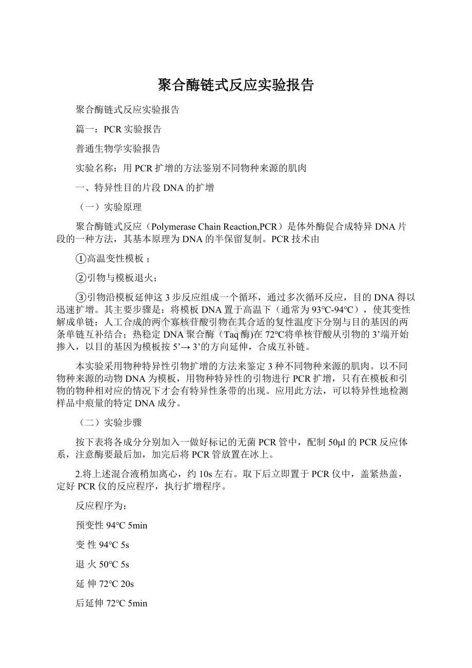 聚合酶链式反应实验报告.docx