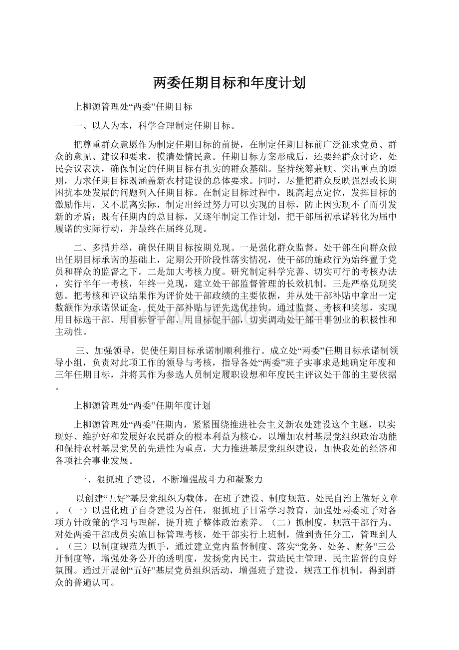 两委任期目标和年度计划Word文件下载.docx