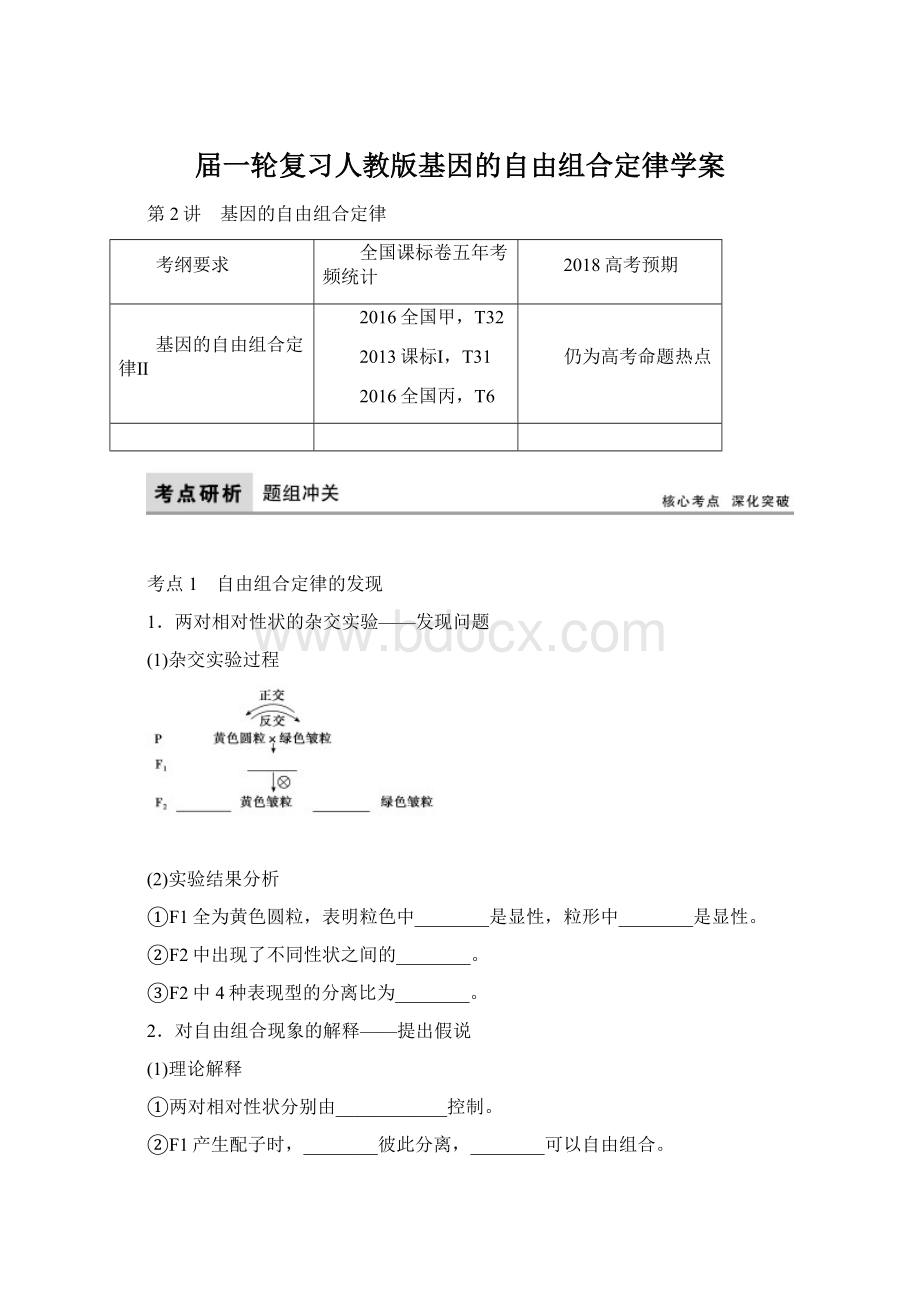 届一轮复习人教版基因的自由组合定律学案Word格式.docx