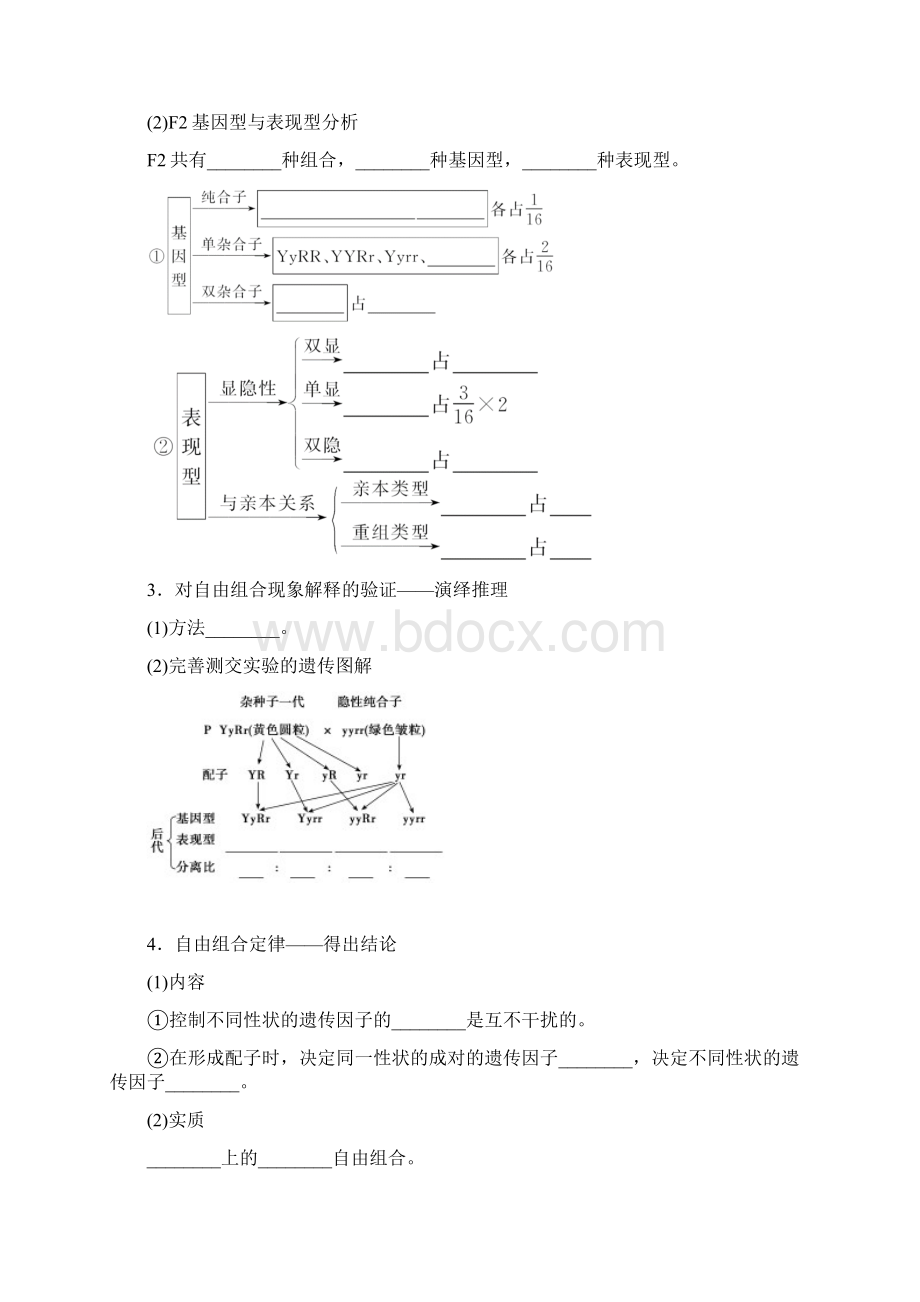 届一轮复习人教版基因的自由组合定律学案Word格式.docx_第2页