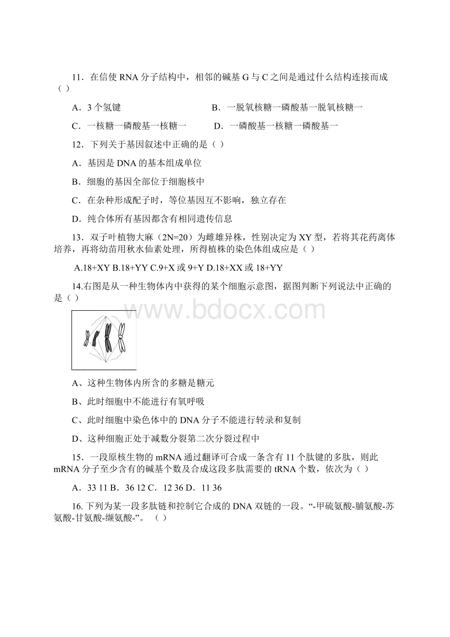 生物人教版高中必修2 遗传与进化渝水一中学年度第一学期期中考试16章.docx_第3页