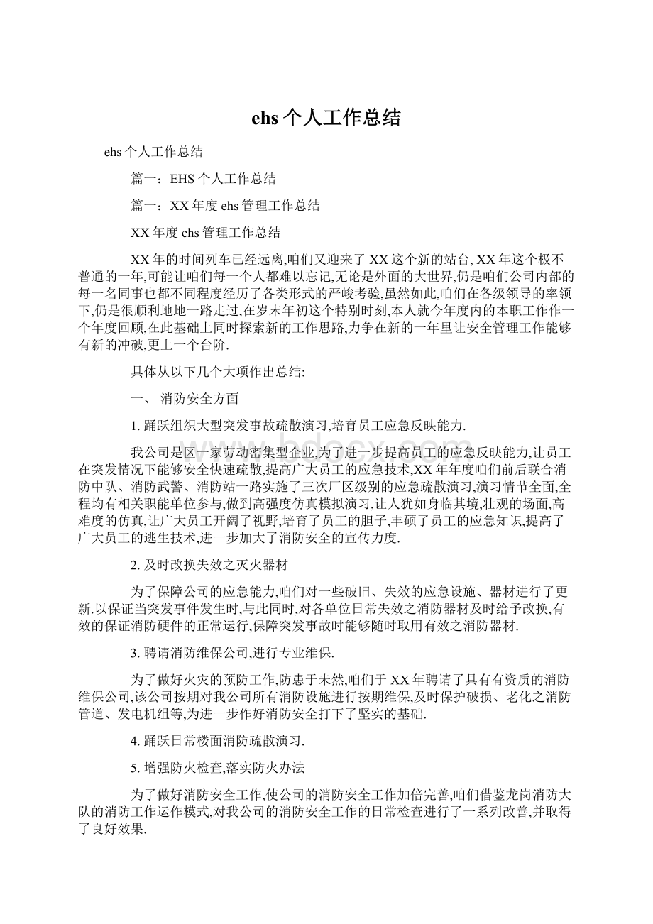 ehs个人工作总结文档格式.docx