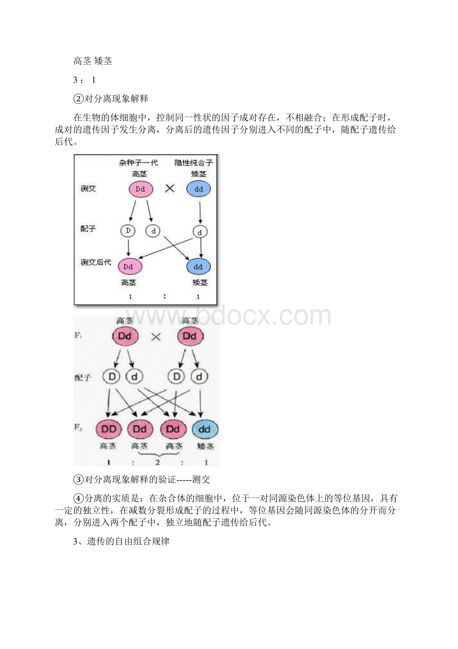 必修二基础知识总复习.docx_第2页