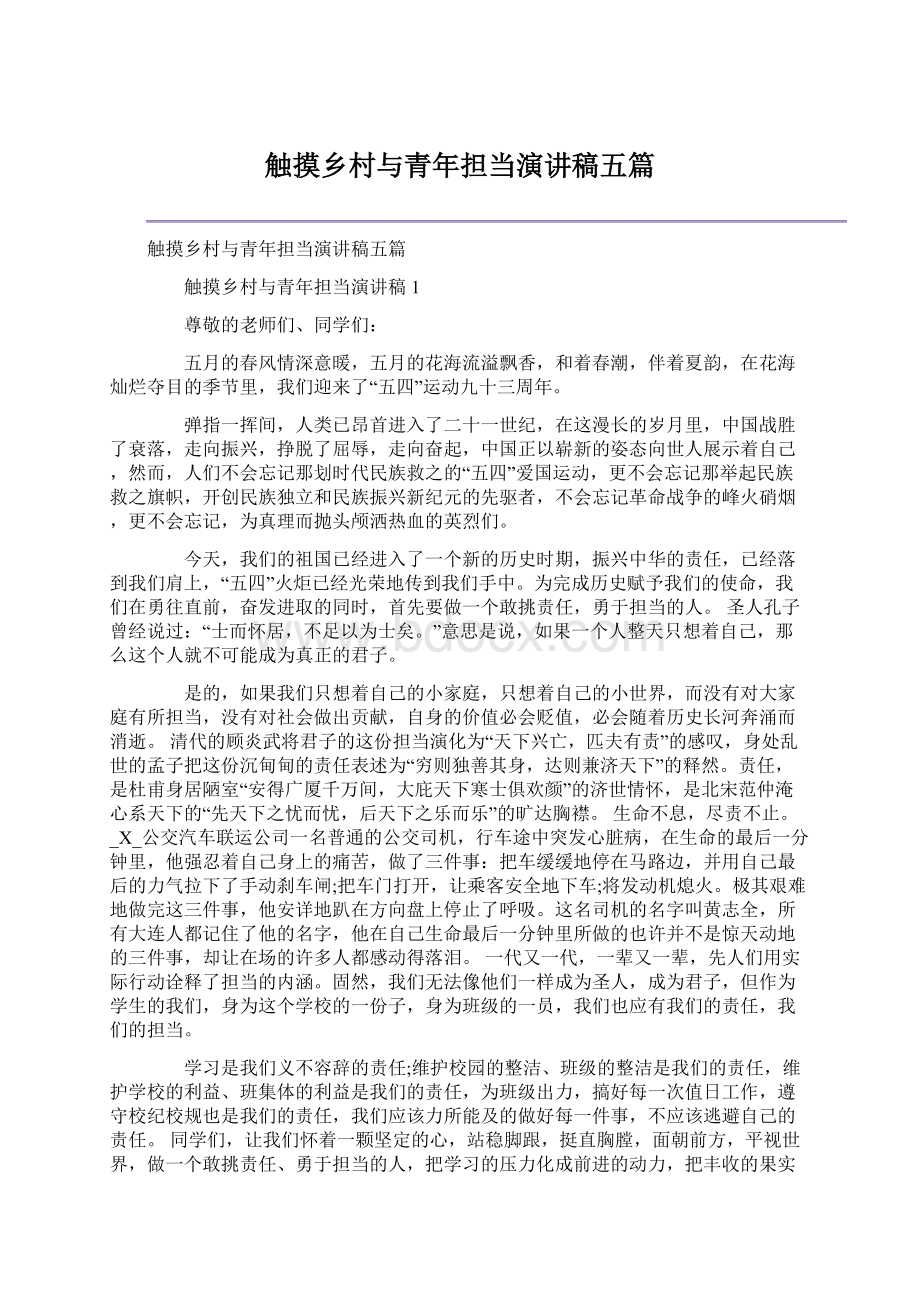 触摸乡村与青年担当演讲稿五篇.docx