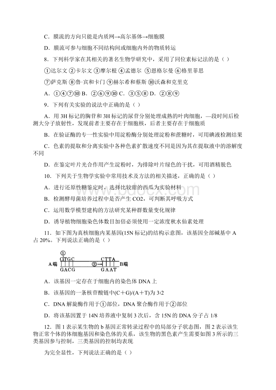 14届高三生物第一轮复习阶段测试遗传与进化含答案.docx_第3页