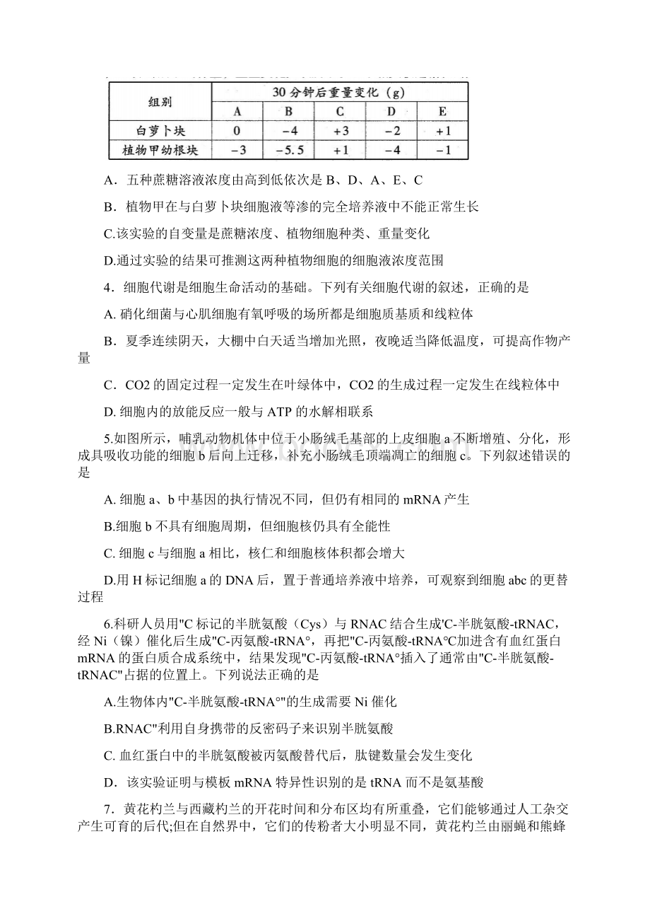 潍坊市届高三上学期期末统考 生物试题含答案.docx_第2页
