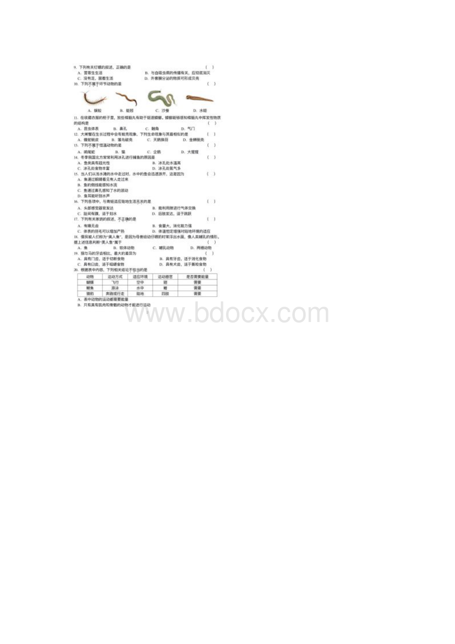 北京市海淀区学年第一学期期中学业水平调研 八年级生物扫描版 有答案Word文件下载.docx_第2页