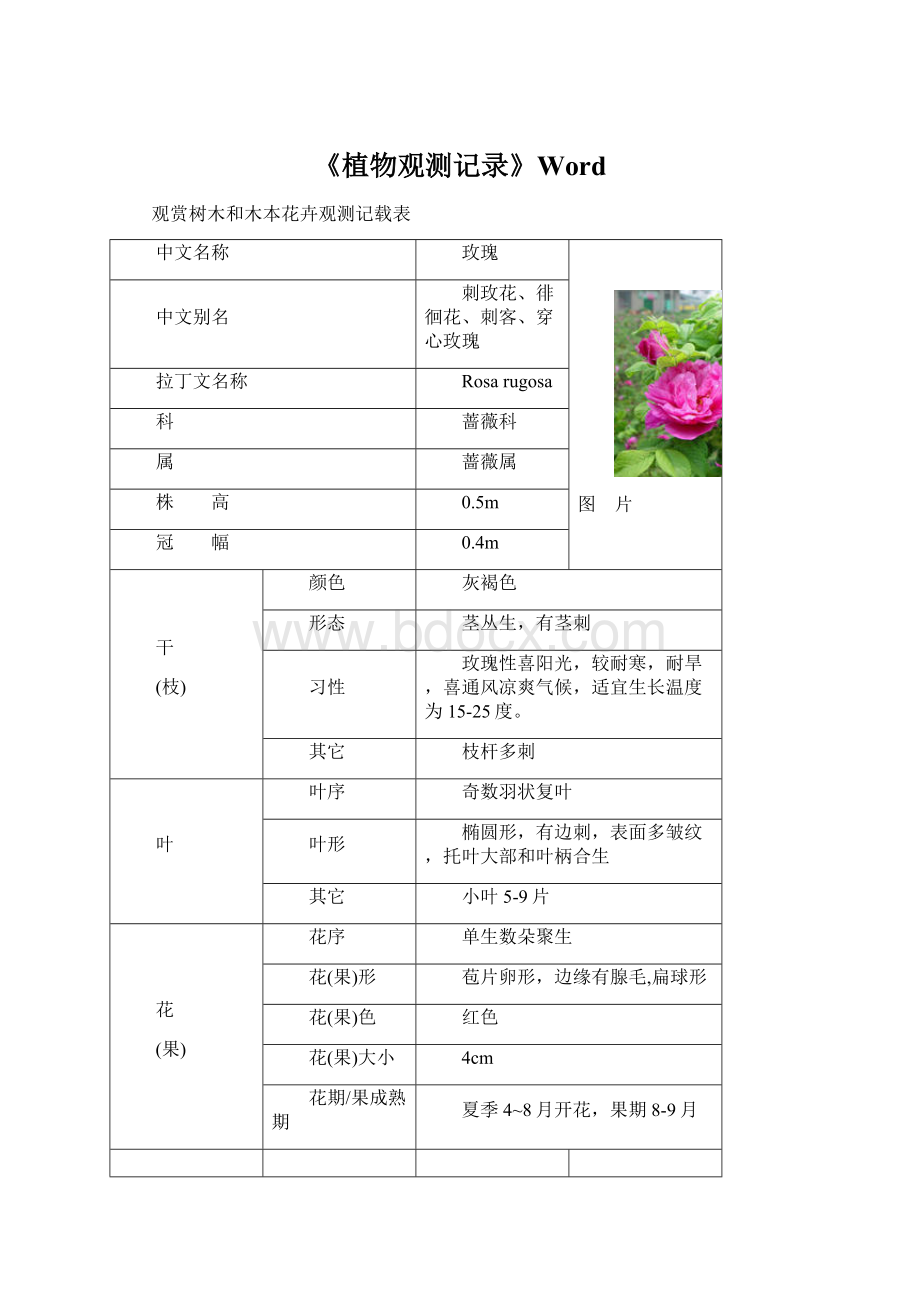 《植物观测记录》Word.docx