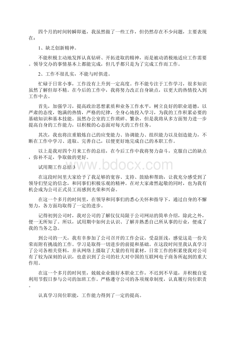 试用期工作总结精选10篇文档格式.docx_第3页