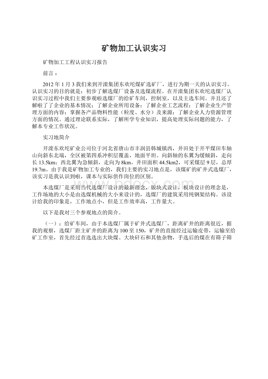 矿物加工认识实习.docx