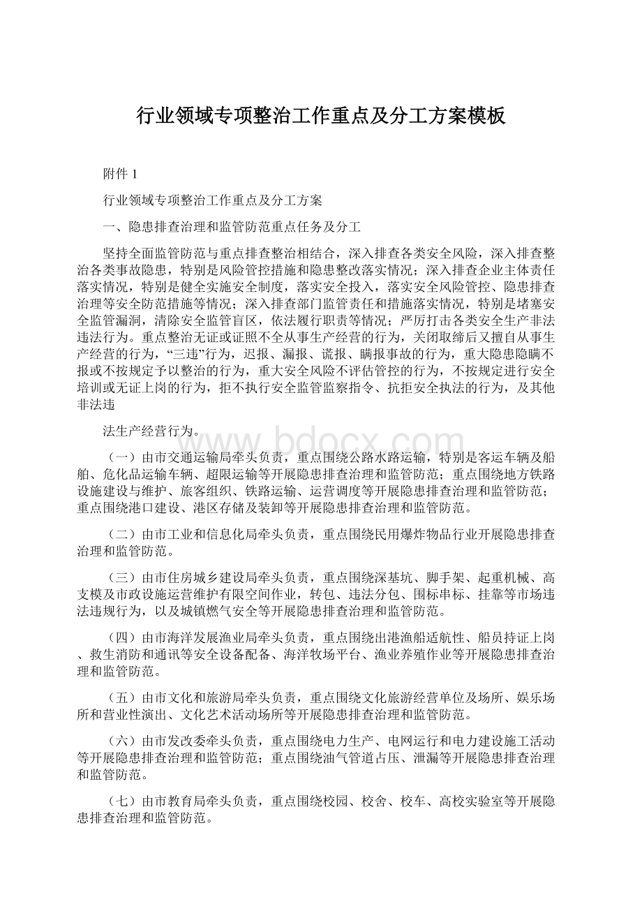 行业领域专项整治工作重点及分工方案模板文档格式.docx_第1页