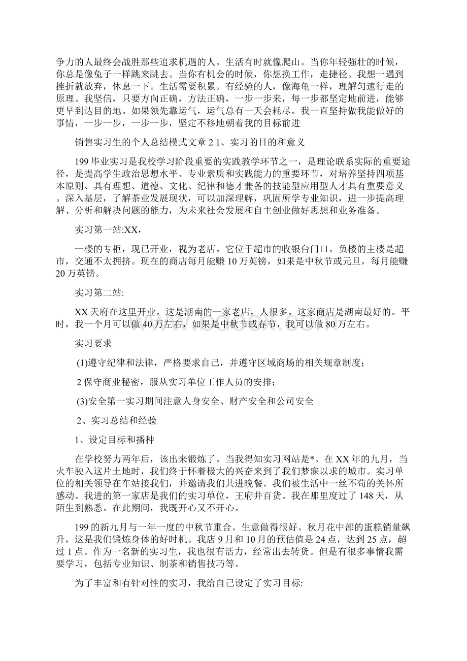 销售实习生个人总结精彩范文文档格式.docx_第2页