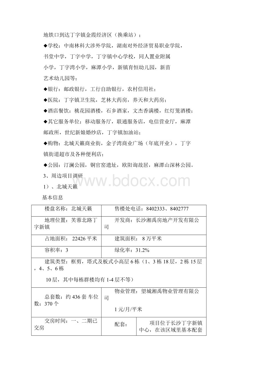 丁字镇项目可行性分析报告.docx_第3页