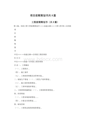 项目前期策划书共5篇Word格式文档下载.docx