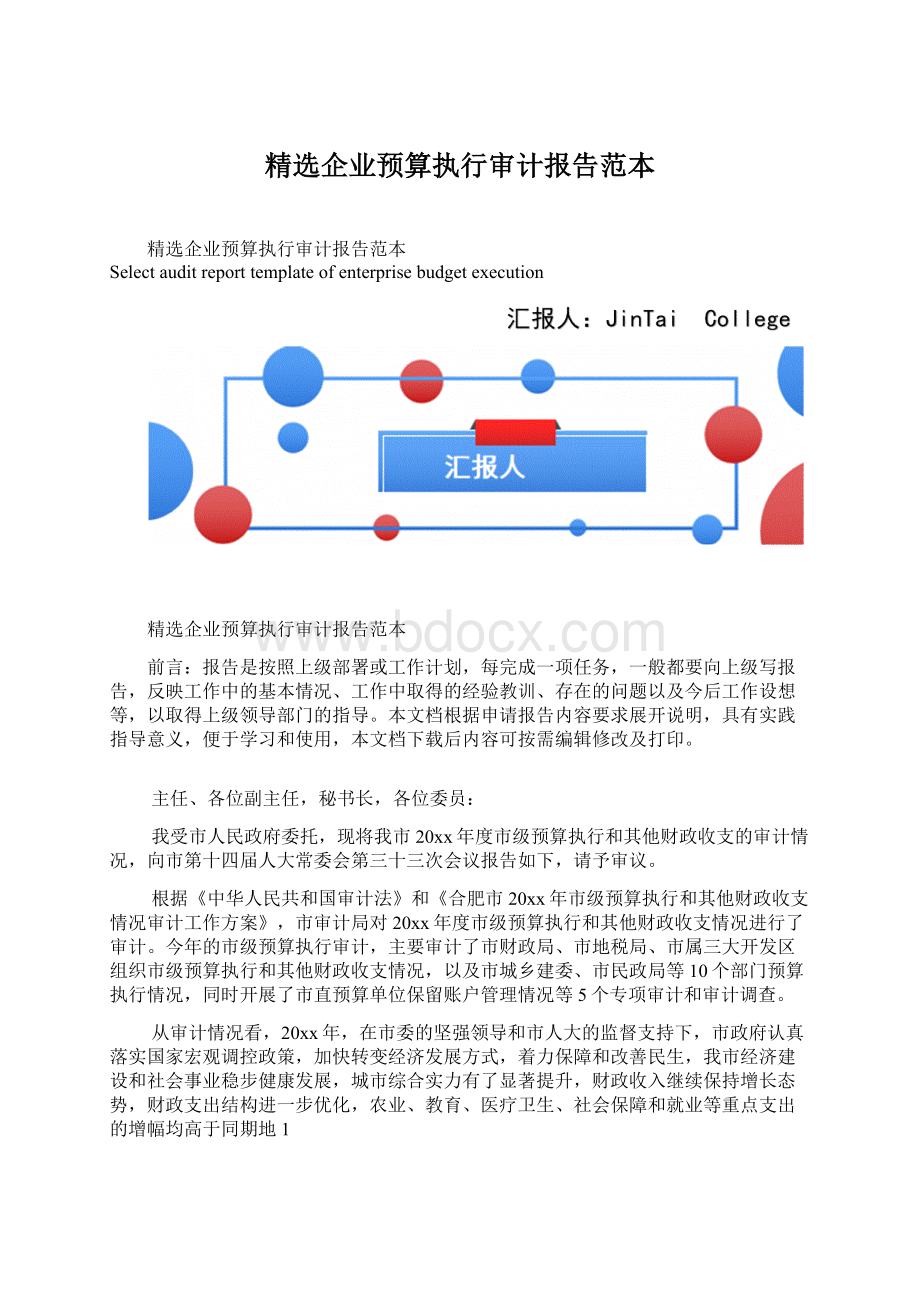 精选企业预算执行审计报告范本.docx