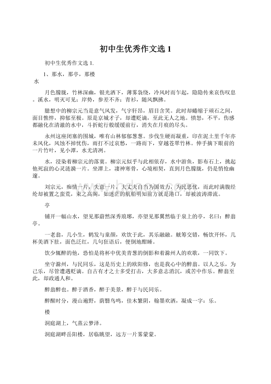 初中生优秀作文选1文档格式.docx