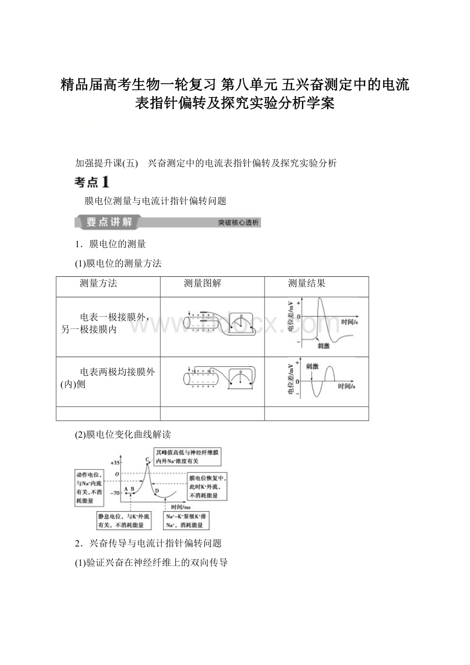 精品届高考生物一轮复习 第八单元 五兴奋测定中的电流表指针偏转及探究实验分析学案.docx_第1页