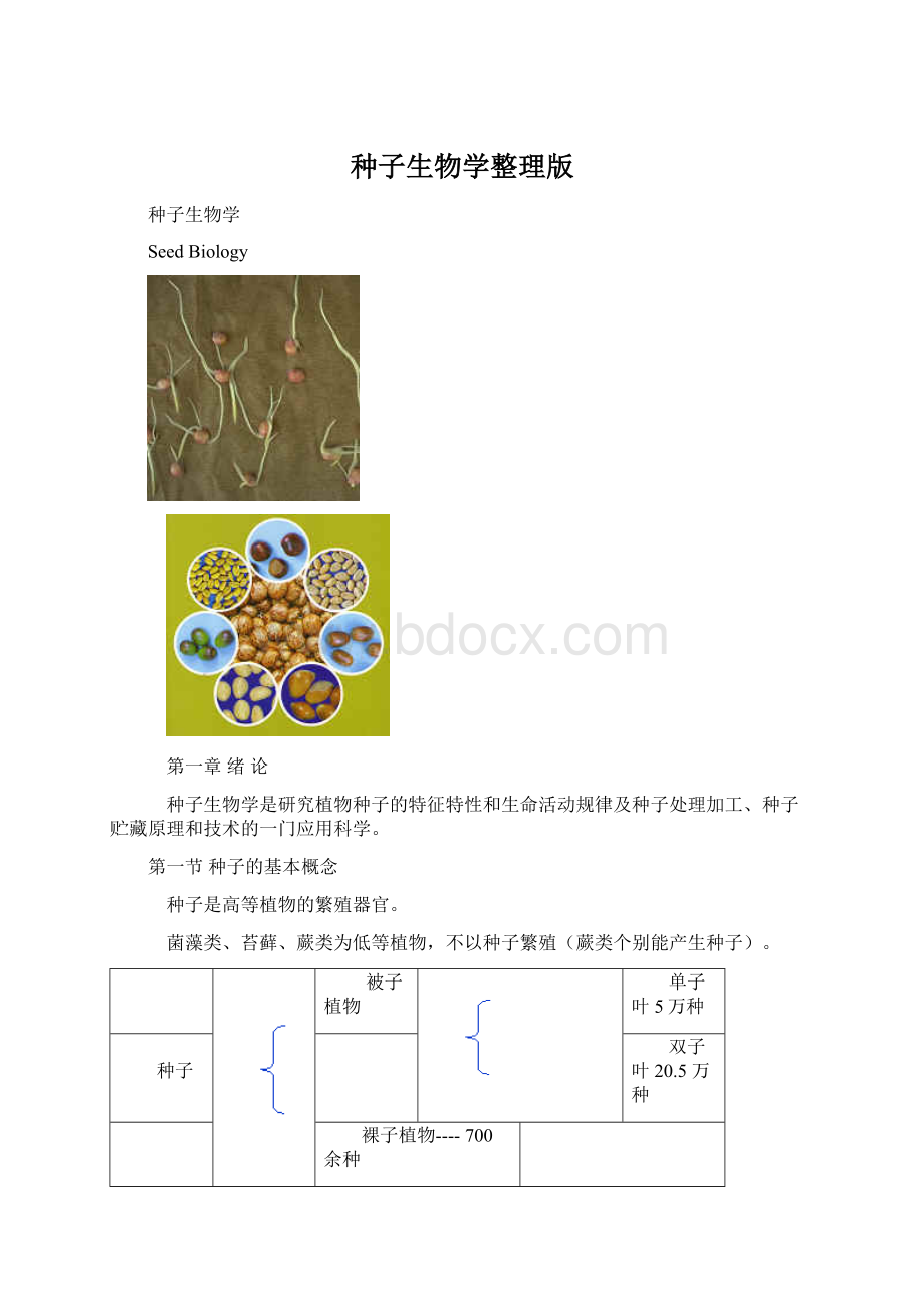 种子生物学整理版.docx