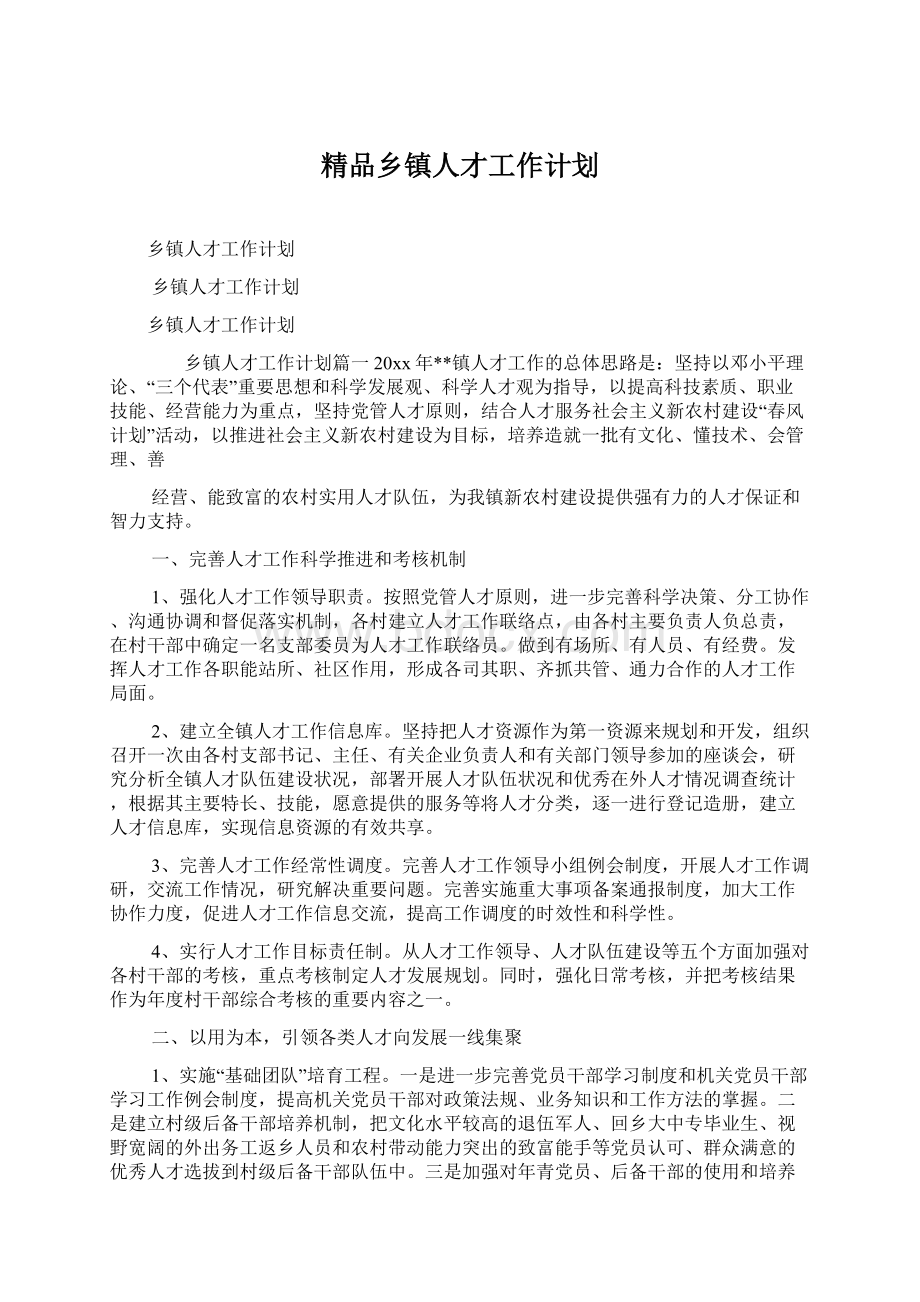 精品乡镇人才工作计划.docx_第1页