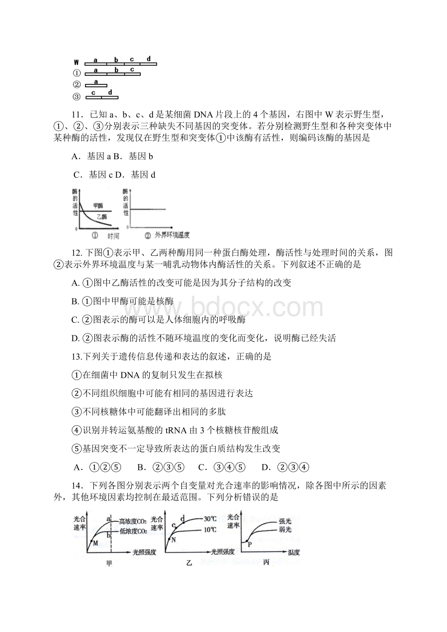 浙江省浙北名校联盟届高三上学期期中联考生物试题Word下载.docx_第3页