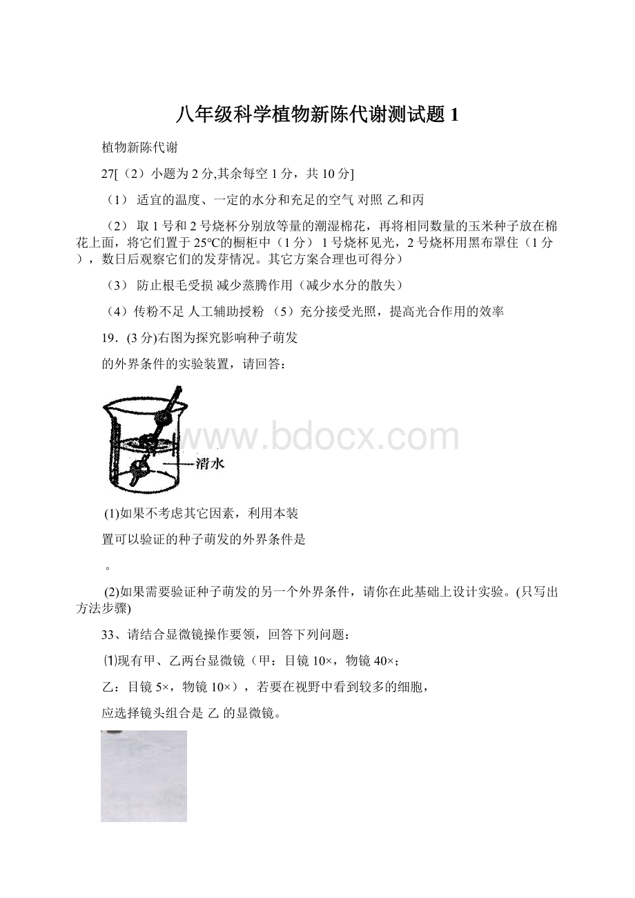 八年级科学植物新陈代谢测试题1.docx_第1页