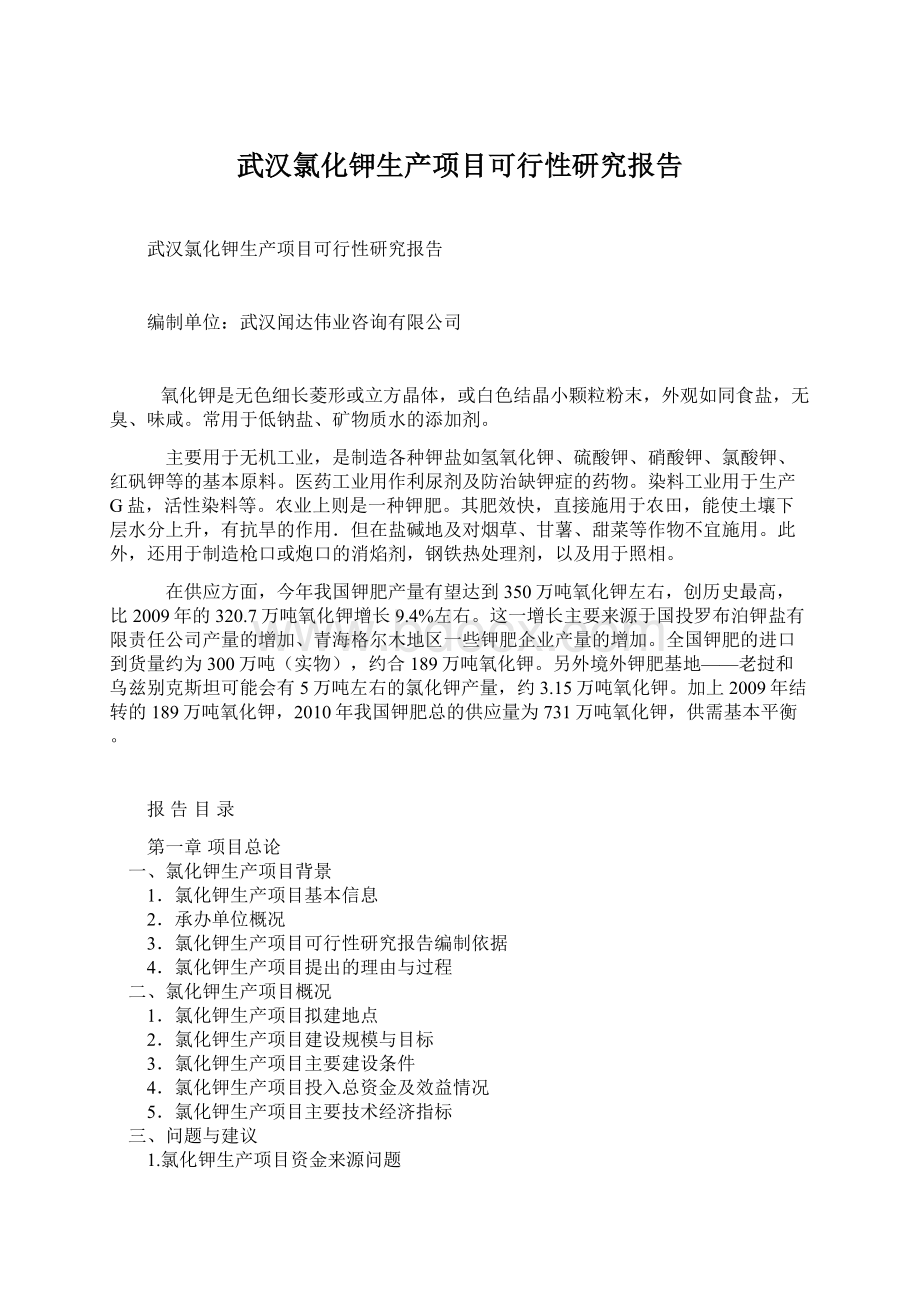 武汉氯化钾生产项目可行性研究报告.docx