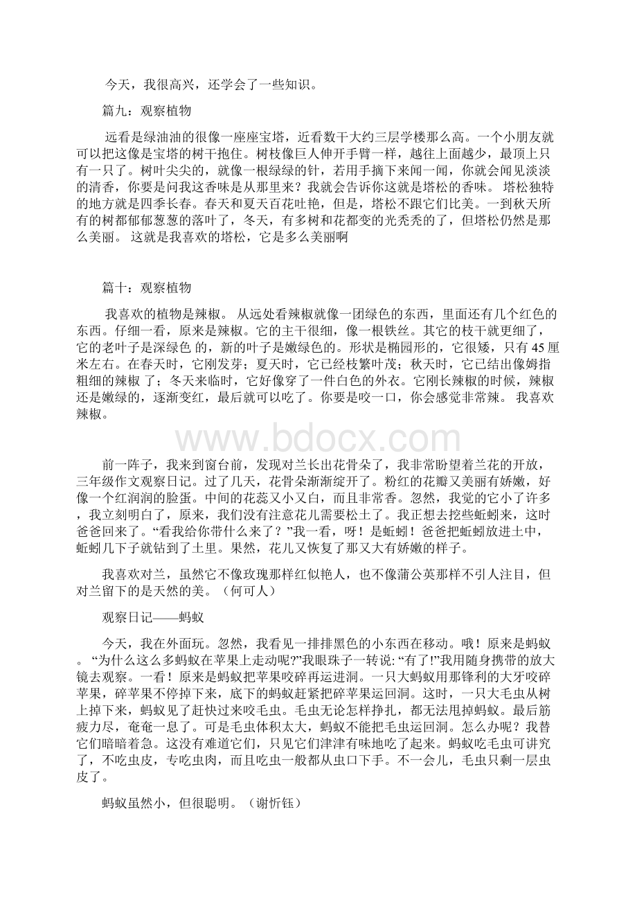 观察习作范文Word文档下载推荐.docx_第3页