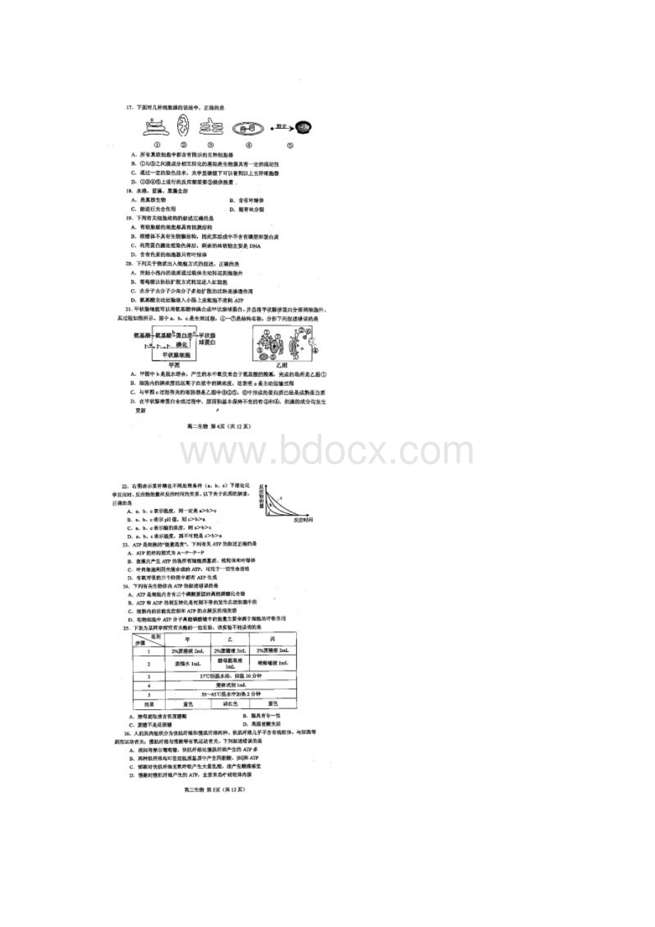 学年河南省南阳市高二下学期期终质量评估生物试题 扫描版.docx_第3页