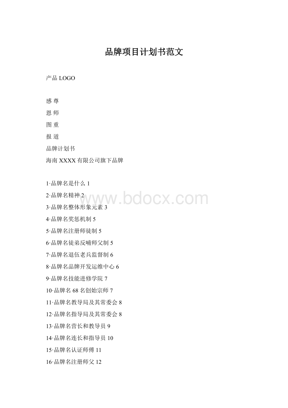 品牌项目计划书范文Word文档格式.docx_第1页