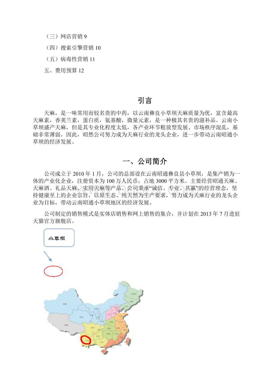 名贵中药天麻网络营销规划商业策划书.docx_第2页