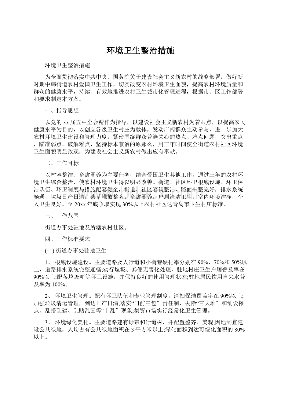 环境卫生整治措施Word文档格式.docx