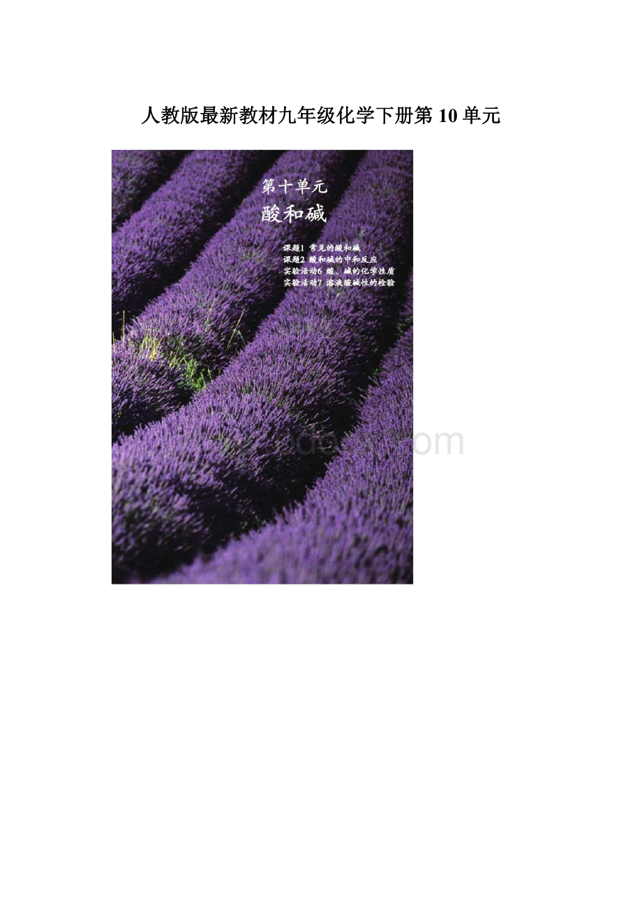 人教版最新教材九年级化学下册第10单元Word下载.docx