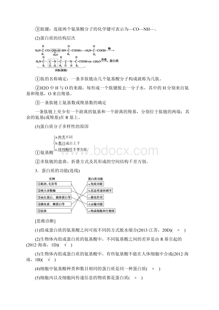 届《步步高》高考生物一轮复习第3讲生命活动的主要承担者蛋白质Word文档格式.docx_第2页