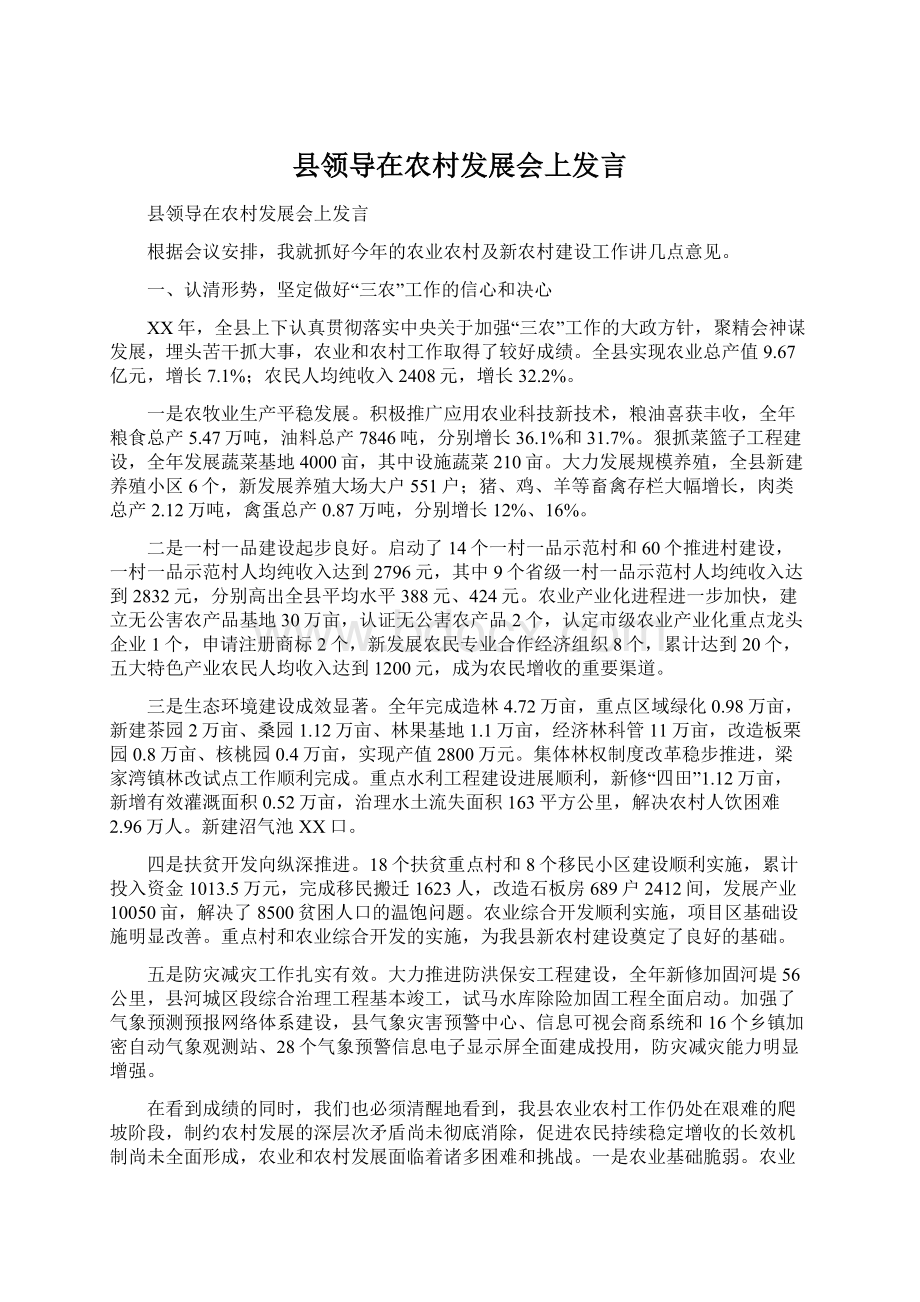 县领导在农村发展会上发言.docx