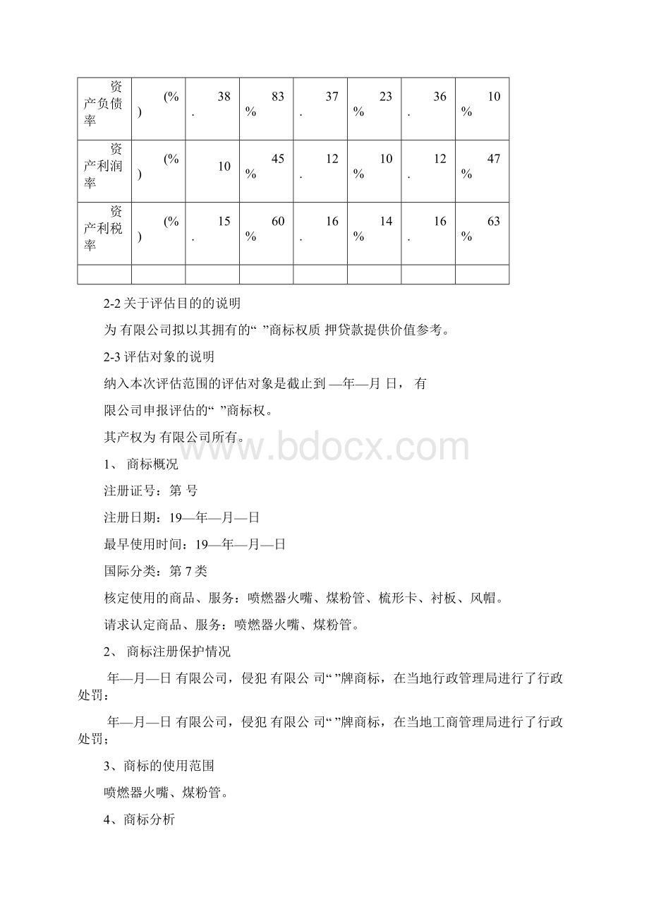 商标评估报告书.docx_第3页