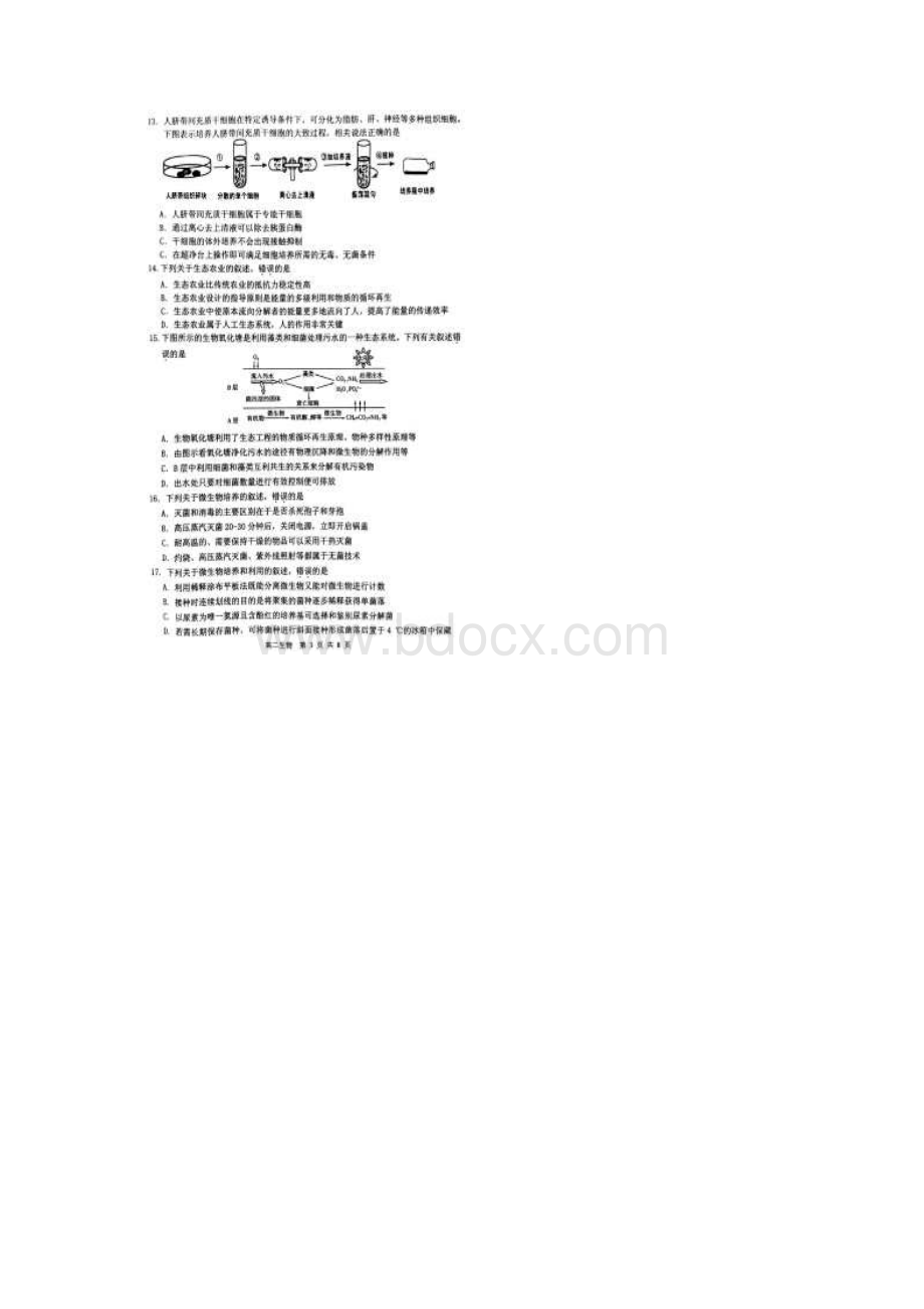 江苏省徐州市学年高二下学期期末考试生物试题图片版.docx_第3页