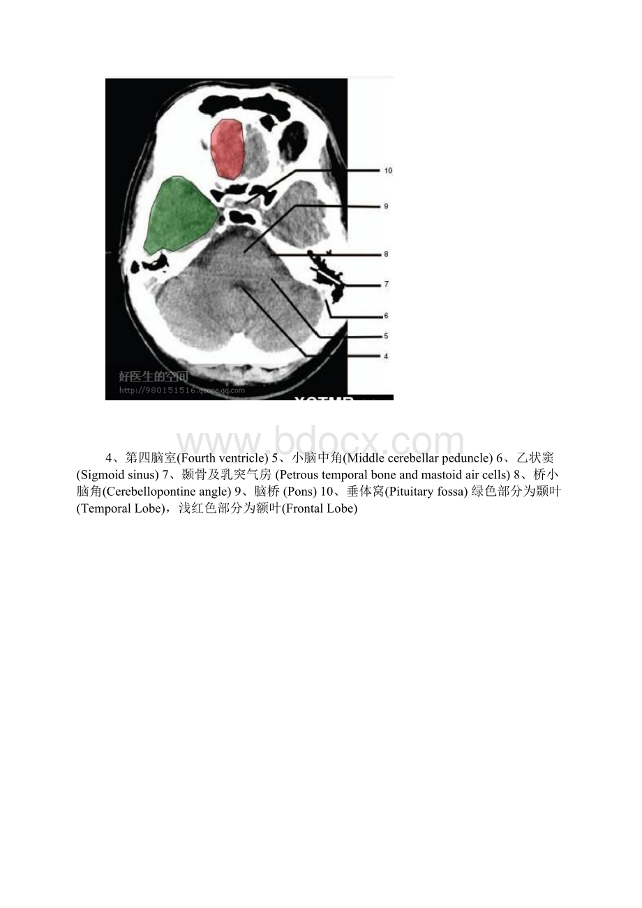 大脑解剖Word格式文档下载.docx_第2页