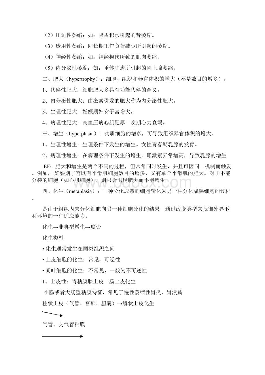 病理学笔记详细.docx_第2页