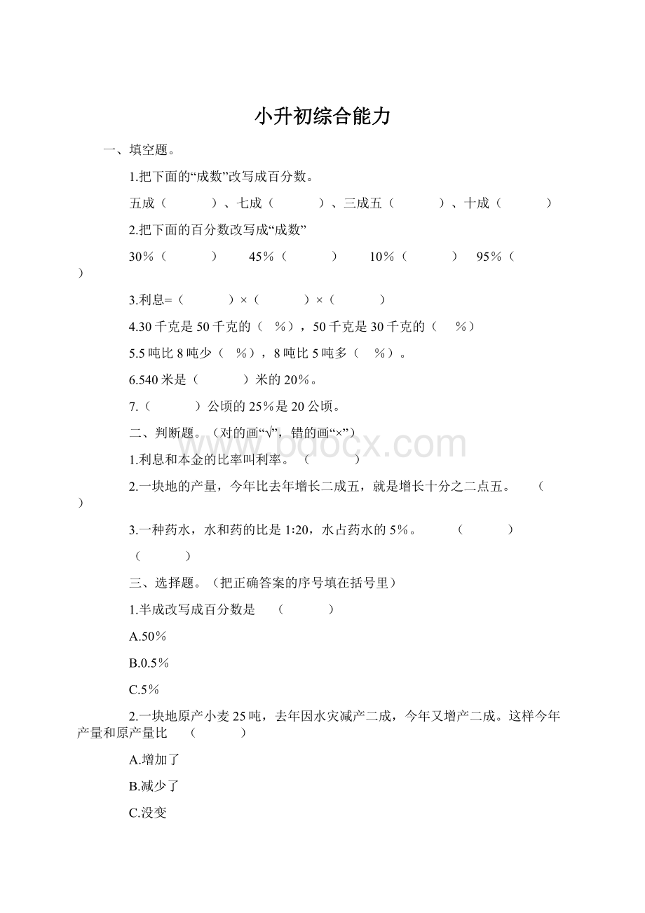 小升初综合能力文档格式.docx_第1页