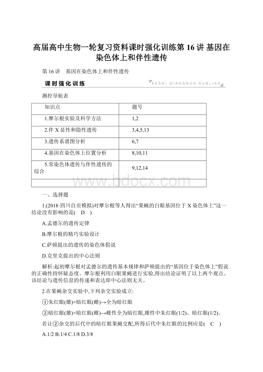 高届高中生物一轮复习资料课时强化训练第16讲 基因在染色体上和伴性遗传Word格式文档下载.docx