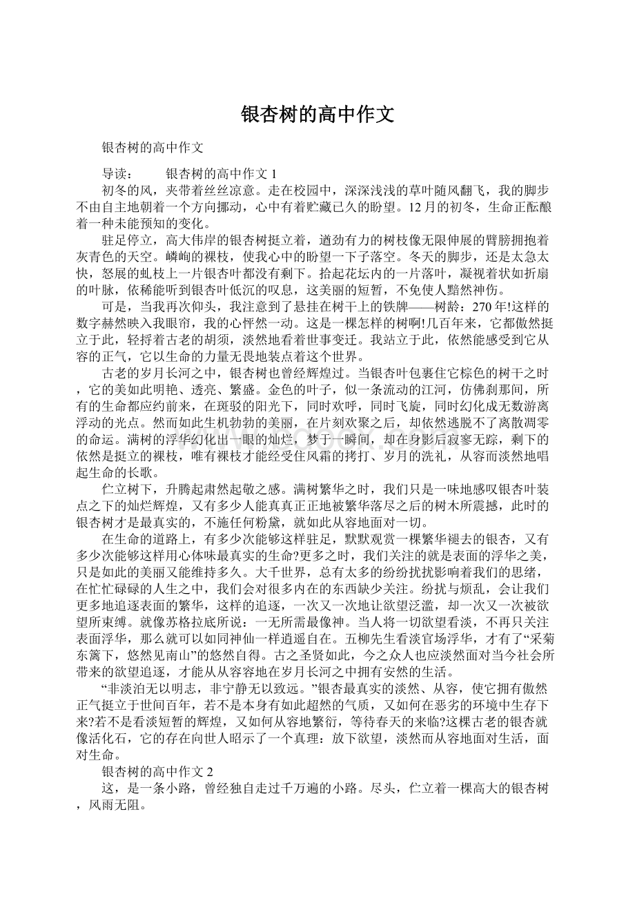 银杏树的高中作文Word文件下载.docx