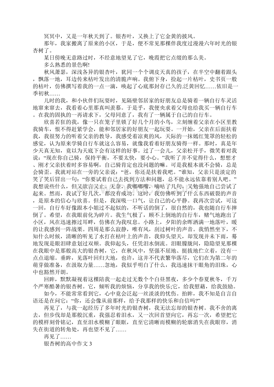 银杏树的高中作文Word文件下载.docx_第2页