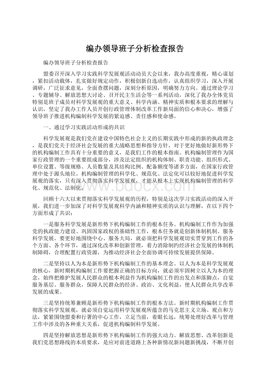 编办领导班子分析检查报告.docx