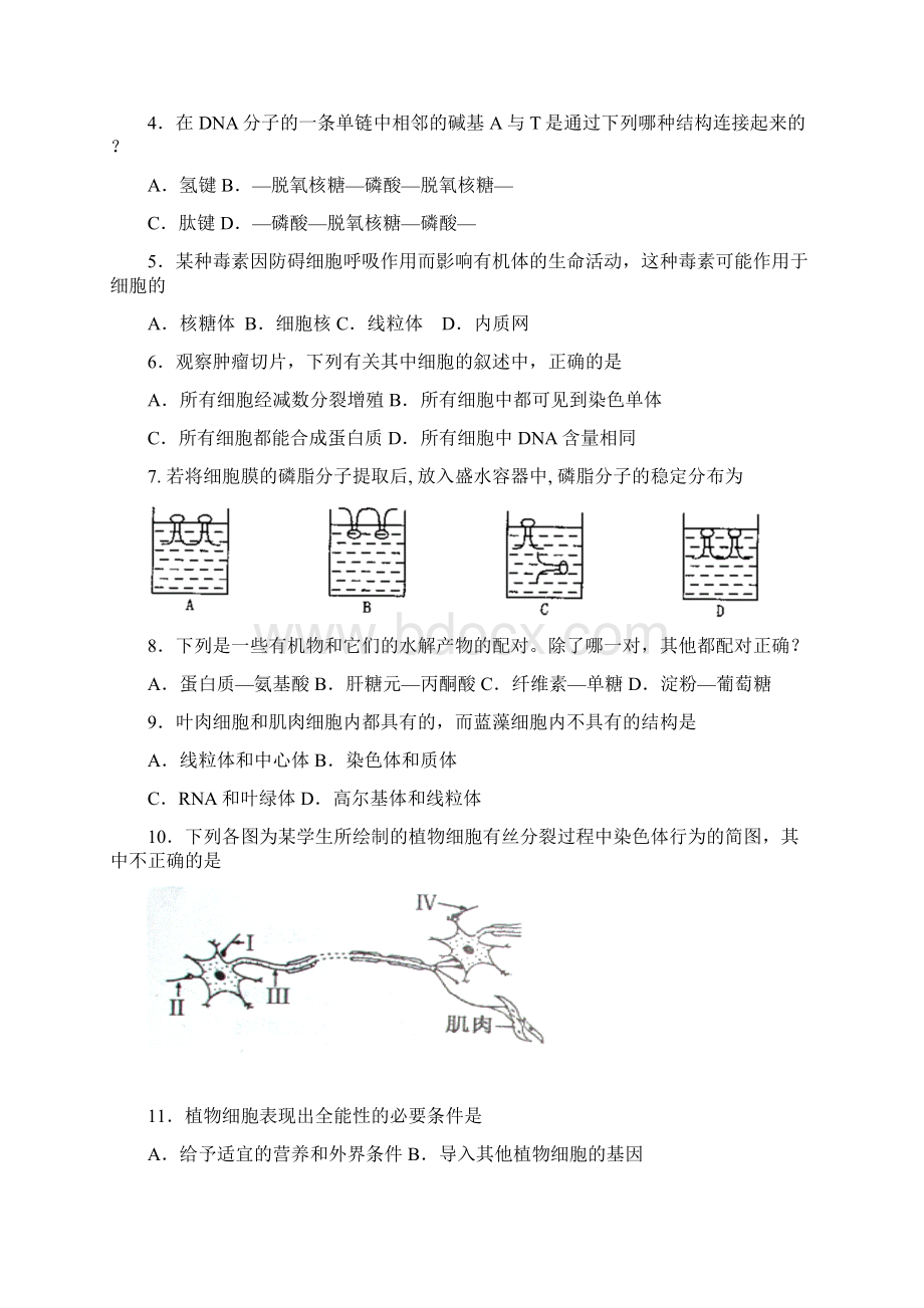 全国中学生生物学联赛山东赛区高中组预赛试题试题标准答案及提示.docx_第2页